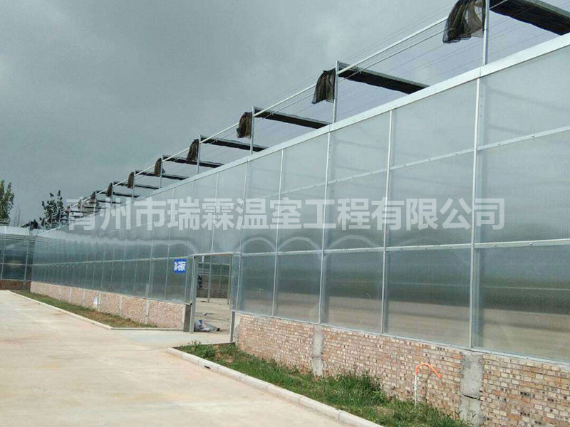 陽光板溫室 (2)