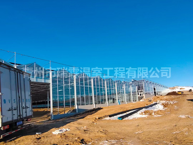 玻璃溫室 (9)