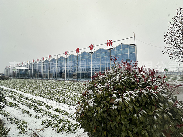 智能溫室